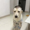 他叫