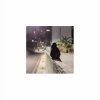 夜間散步 Night Walk