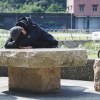 讓我臣服於這種寧靜