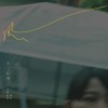 風