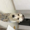 比叫