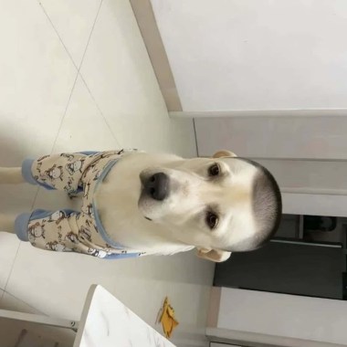 比叫