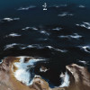 海底 Abyss