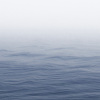 大海