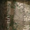 輕輕地靜靜地 Barely